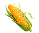 Corn Trading Icon