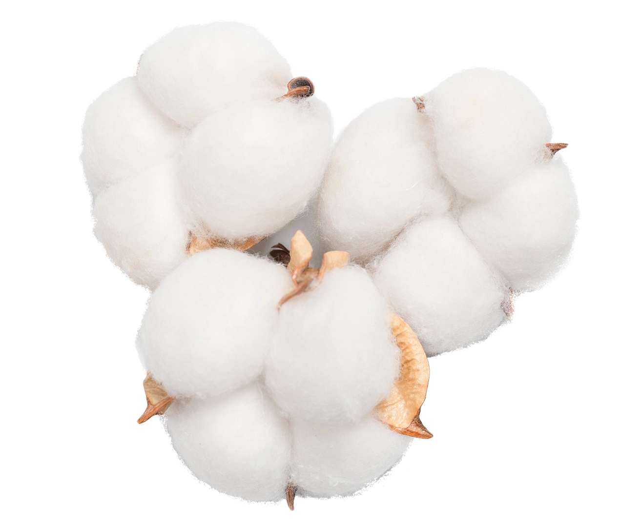 Cotton Trading Online