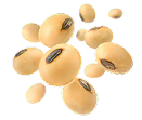 Soyabean Trading Icon
