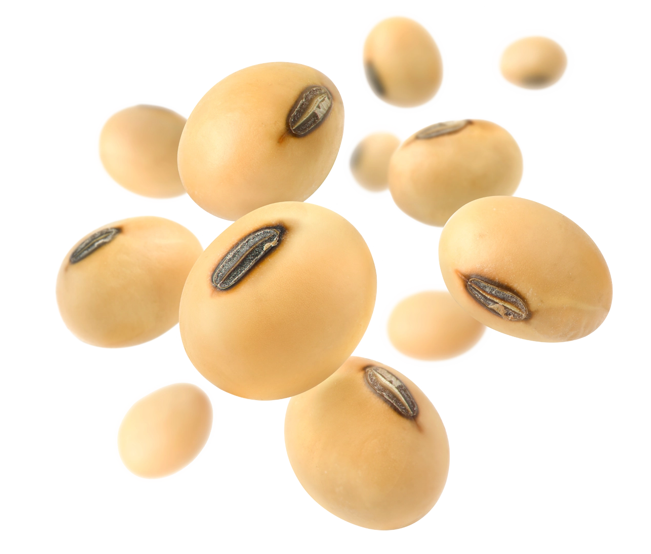 Soybean Online Trading